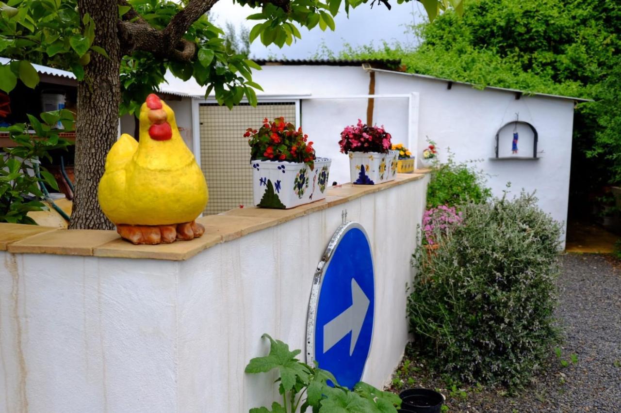 The Shed Villa Cehegin Exterior photo